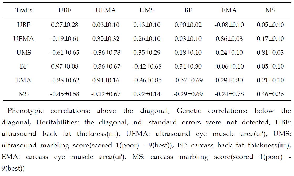 Genetic and phenotypic correlations between ultrasound and carcass traits in cows