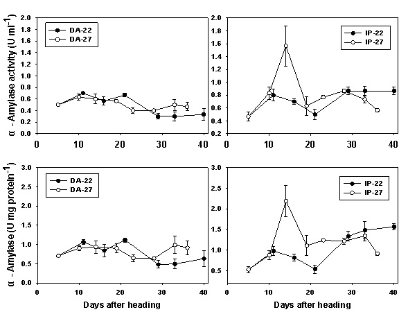 Fig 2-7. Comparison of α-amylase activities in rice spikelets developing under average temperature 22℃(22±4℃) and 27℃(27±4℃). Data are means ± SE from 3 independent groups. DA: Donganbyeo, IP: Ilpumbyeo