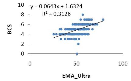 Figure 3. Phenotypic correlation coefficients between ultrasound eye muscle area and BCS of cow