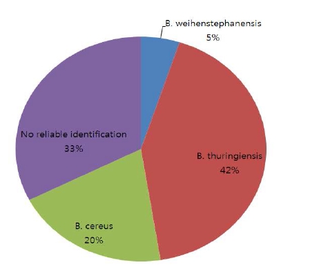 그림 3. 한우 자궁내 분리 동정된 주요 미생물의 분포비율