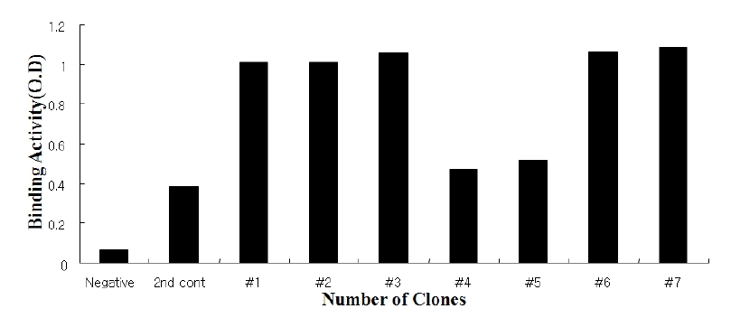 그림 5. 클론별 bovine GRIP-1 monoclonal antibody 역가 screening