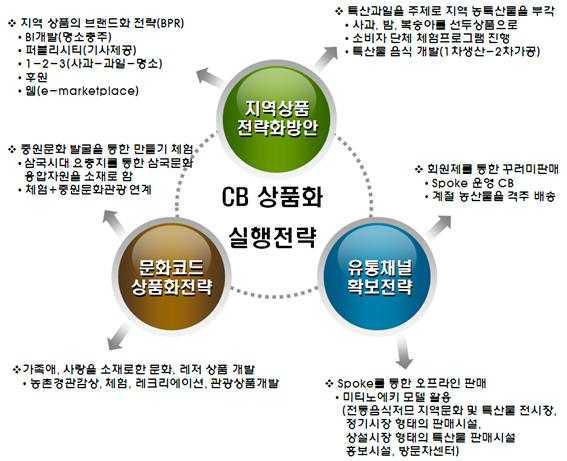 커뮤니티비즈니스 상품화를 위한 실행전략