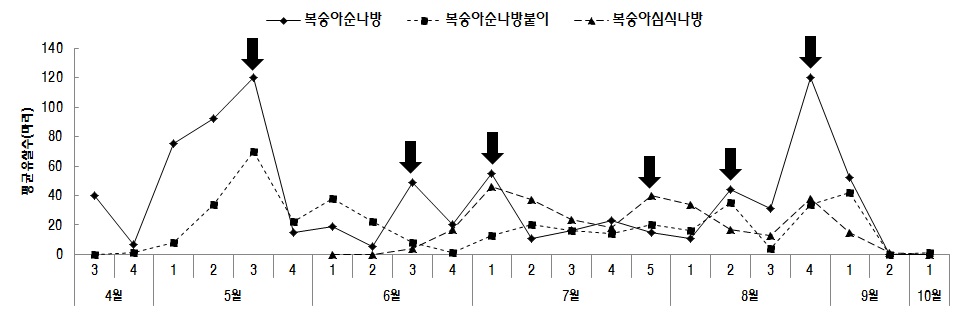 그림 2-8. 2011년 장수지역 과원의 심식나방류 최대 발생 소장 비교