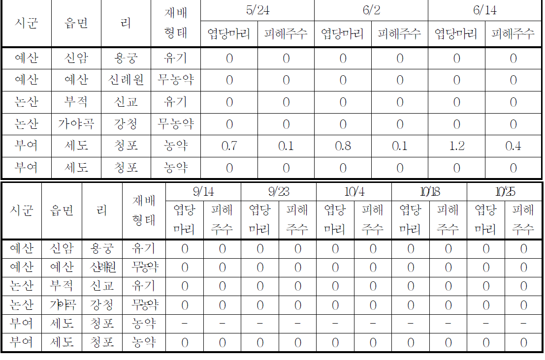 시설토마토에서 토마토녹응애의 발생밀도(2011)