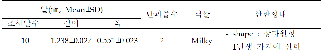 갈색날개매미충(Ricania sp.) 알의 형태적 특징