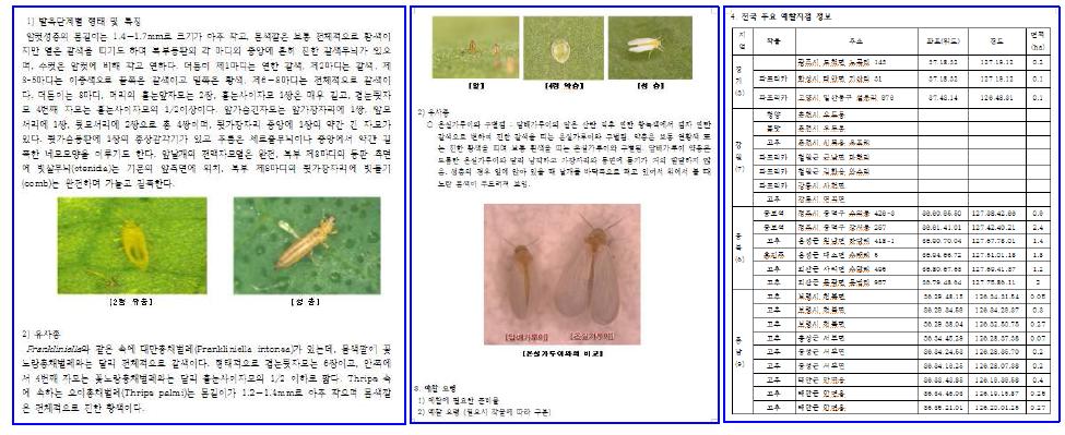 시설고추해충 예찰요원교육 매뉴얼