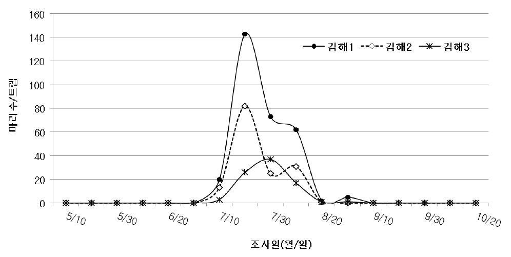 2012년도 미국선녀벌레 성충 발생조사