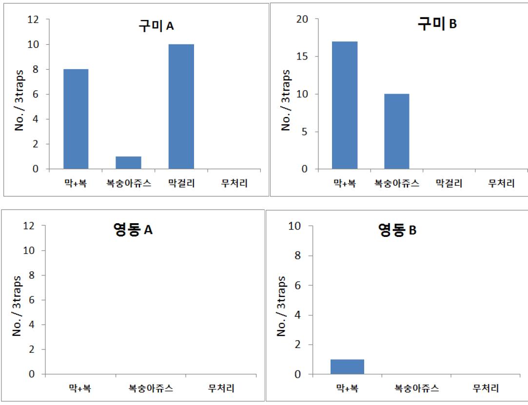 유인물질 및 끈끈이트랩을 이용한 사과원 갈색여치 유인력 비교.