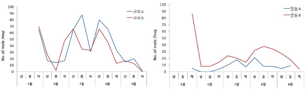 성페로몬트랩에 의한 복숭아순나방붙이 성충의 발생소장(2011).