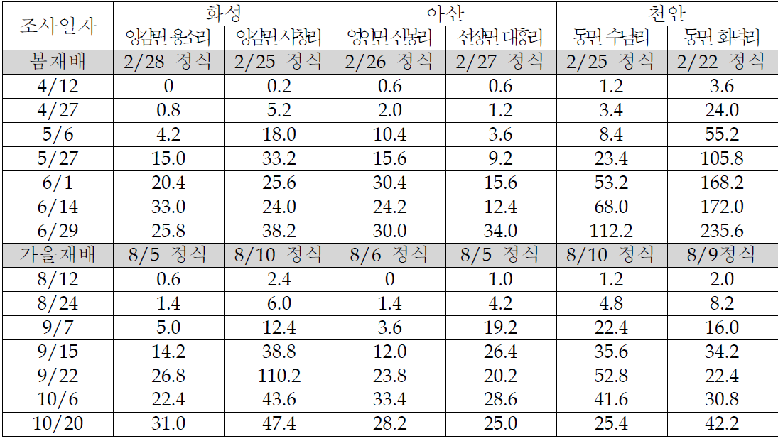 작은뿌리파리의 끈끈이트랩 유인수(2011)