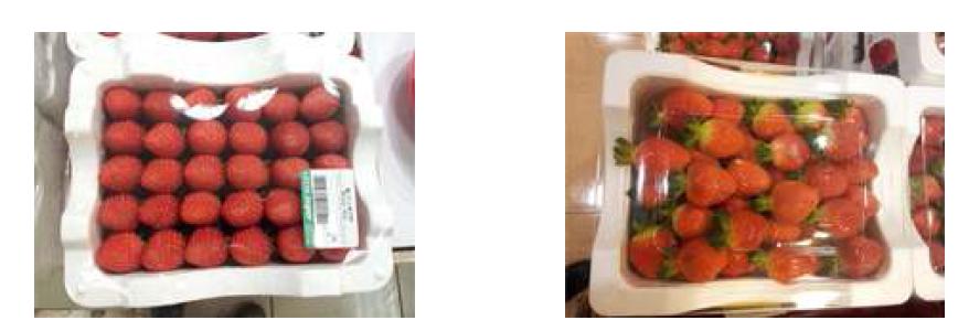 고르게 담긴 딸기와 벌크 상태로 담긴 딸기