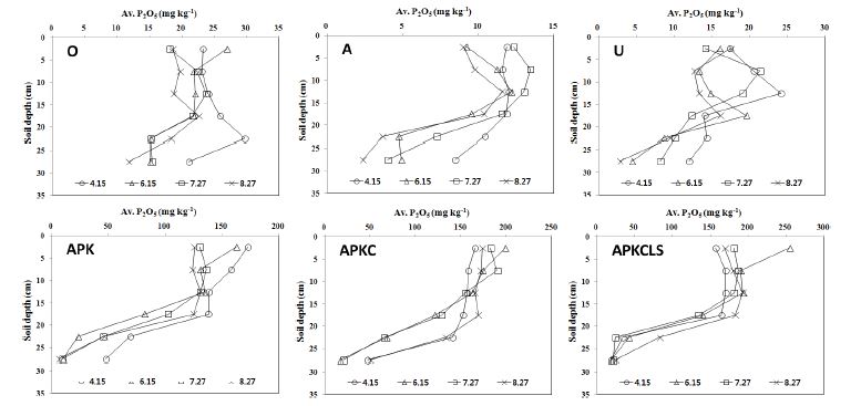 Figure 4. Distribution of nitrogen available phosphate(Av. P2O5) in the soil profile after fifty-six years of the continuos fertilization experiments.