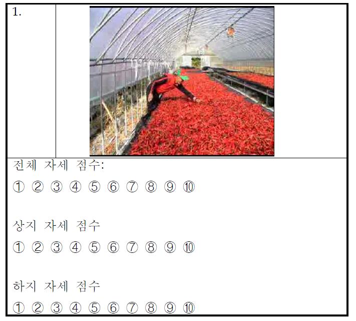 50개 자세에 대한 전체, 상지, 하지의 평가 예