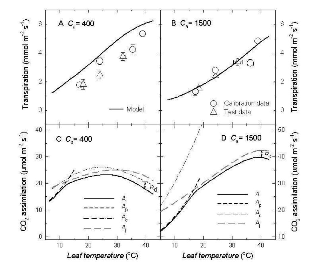 마늘 기체 교환 모델의 엽상 온도와 대기 중 이산화탄소 농도에 따른 예측값과 측정값 비교.