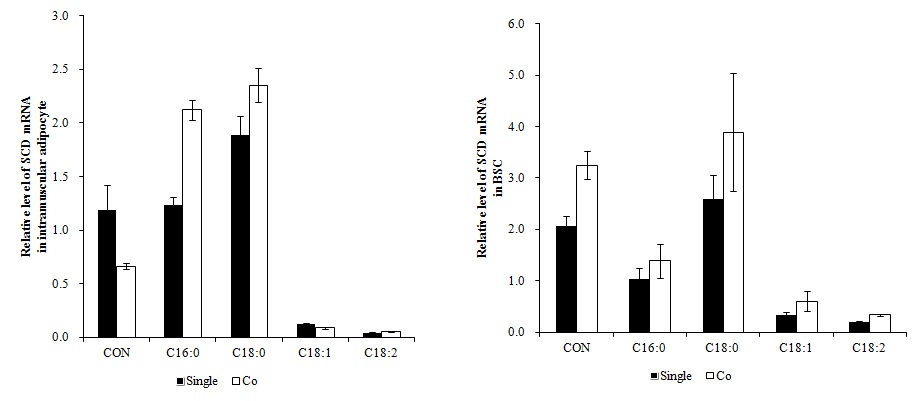 Figure 2. Oleic acid decreases stearoyl-CoA desaturase(SCD) gene expression.