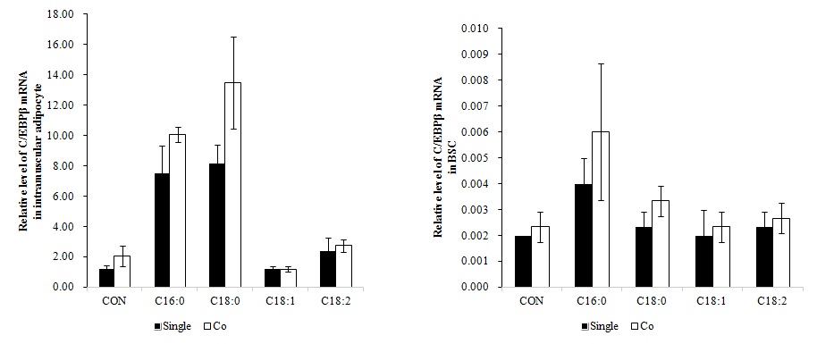 Figure 3. Palmitic acid stimulates adipogenic gene expression in adipocytes and muscle cells.