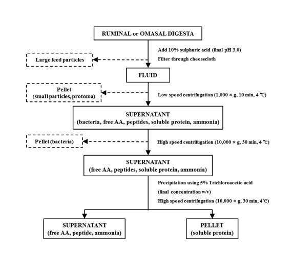 Figure1. Schematic for the isolation in ruminal or omasal digesta (C. W. Choi, 2002)