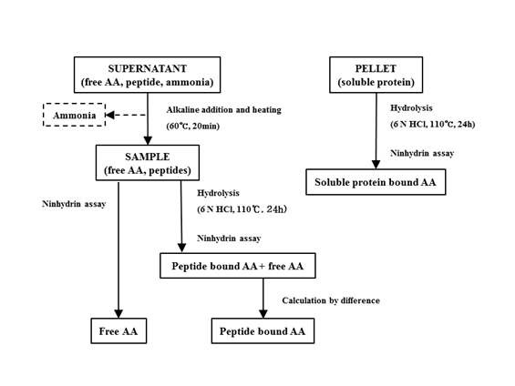 Figure3. Schematic for the measurement of soluble non-ammonia N in ruminal or omasal digesta (C. W. Choi, 2002)