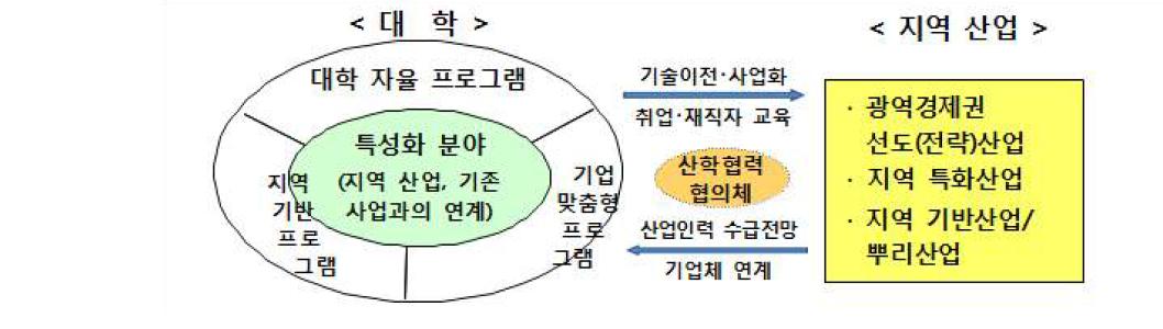 선도대학 육성사업