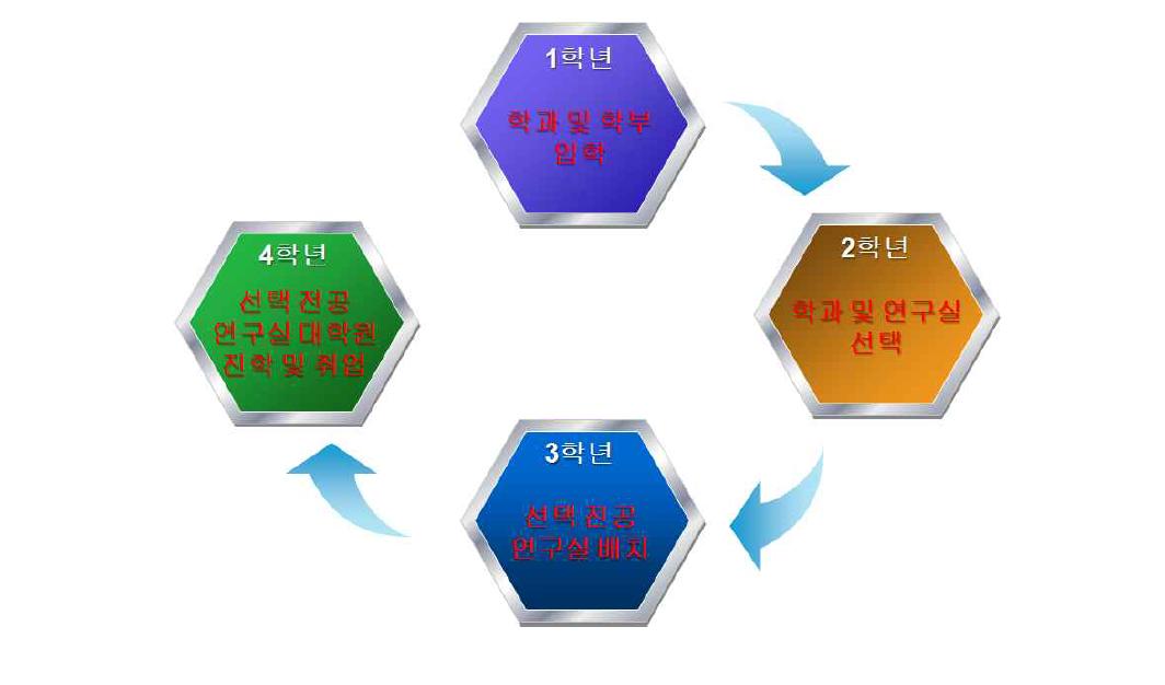 학부 학생의 입학부터 졸업까지 학과 또는 학부내 배속 흐름도