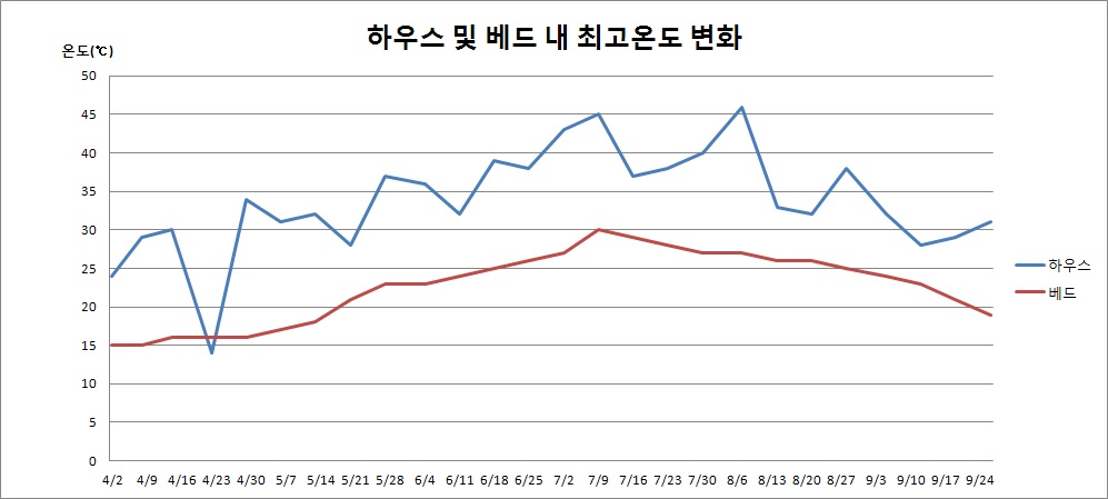 그림 1. 재배기간 중 하우스 및 베드 내부 최고온도 변화
