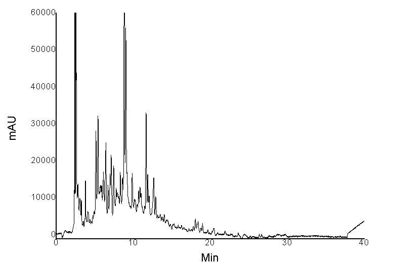 그림 21. 천일염 20% 농도로 염장한 오미자 삼출액 중의 phenolic 및 flavonoid HPLC chromatogram