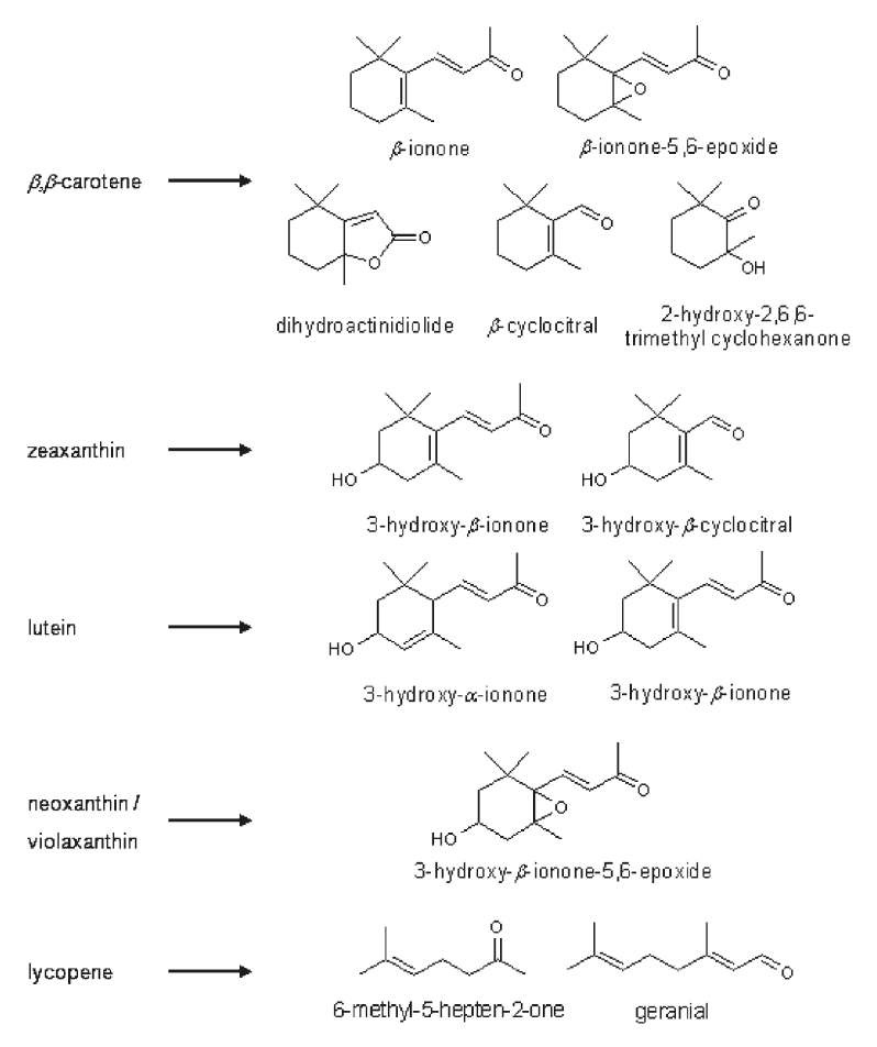 그림 40. Fungi peroxidase에 의한 carotene 및 xanthophyll류의 분해물