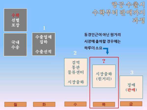 그림 86. 항공을 이용한 백합수출시 농가출하부터 판매까지의 제과정 및 일수