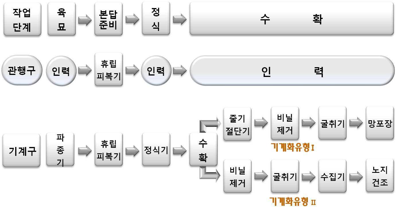 양파 일관기계화 작업체계