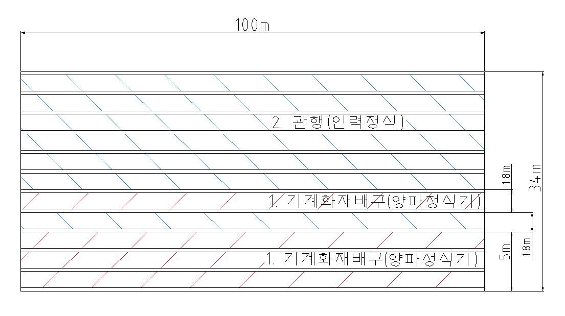 밭 양파 시험구배치도(무안)