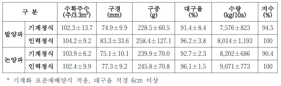 양파 생산 일관기계화 수확량 분석