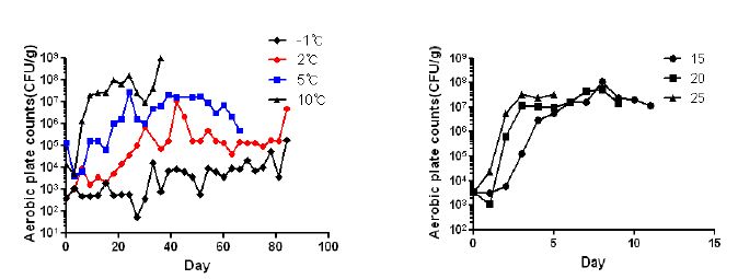 그림. 9 쇠고기 저장중 일반세균수 변화.