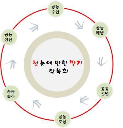 그림 3-23. 첫눈에 반한 딸기 작목회 제품 생산과정