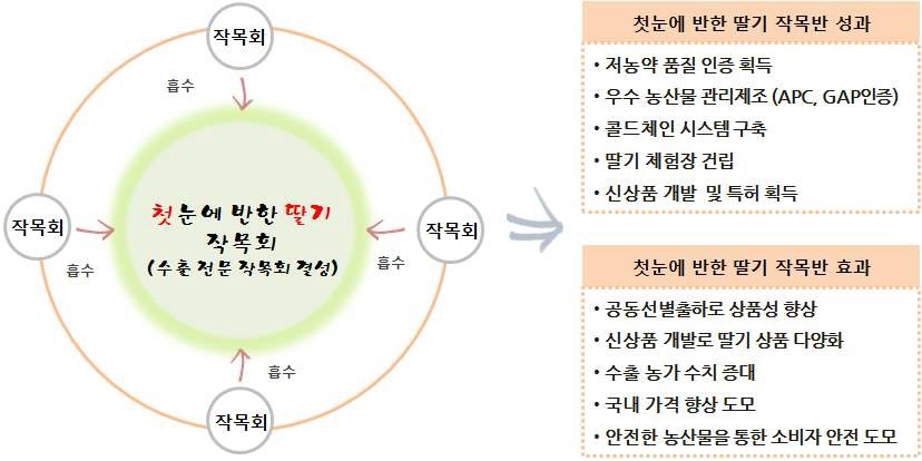 그림 3-24. 첫눈에 반한 딸기 작목회 결성 과정·성과·효과