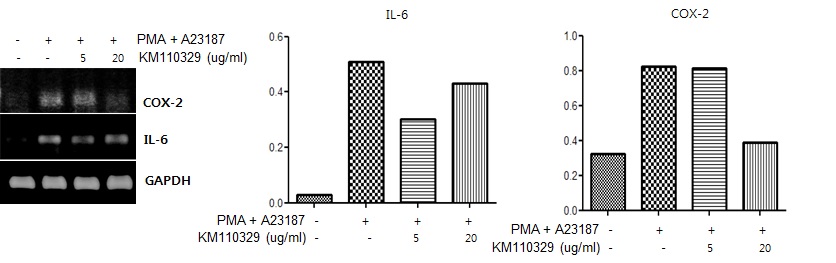 그림 9. 염증성 사이토카인과 mRNA 발현 변화
