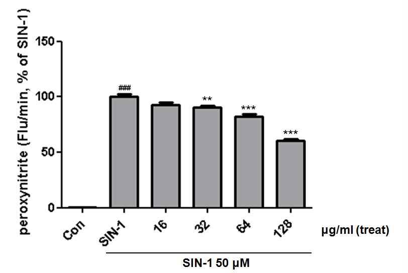 Fig. 2. Suppression of peroxinitrite level by Cordyceps militaris extracts. ROS was measured by fluorescence analysis using DCFDA. Con, Control. SIN-1, 50 μM 3-Morpholinosydnonimine hydrochloride. Statistical significance : ### p<0.001 compared to Con, ** p<0.01 compared to SIN-1, *** p<0.001 compared to SIN-1, respectively