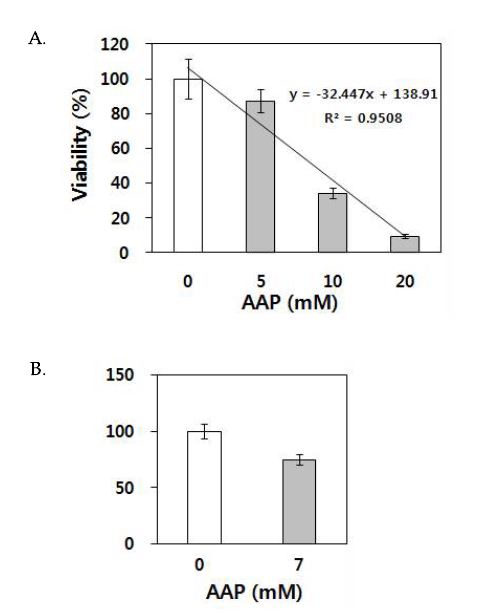 fig 9. Chang liver cell의 세포증식에 미치는 AAP의 영향