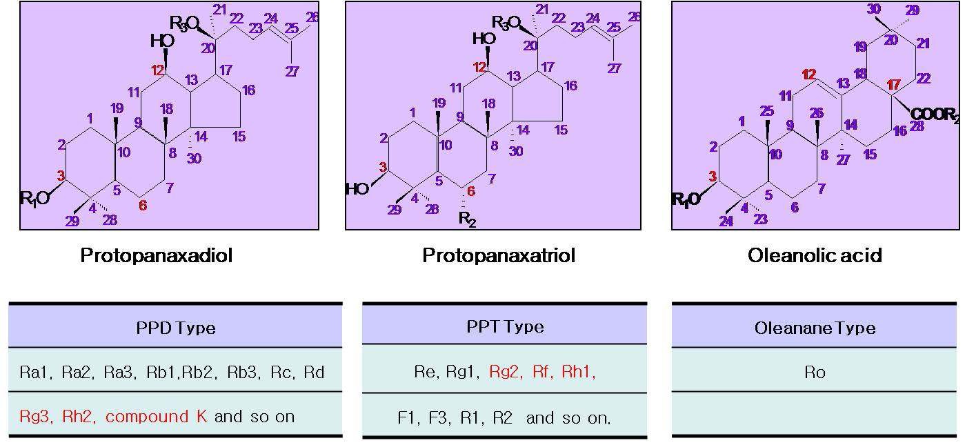 Fig. 1. 인삼의 사포닌 종류