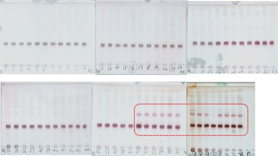 Fig. 4. Fosmid library screening for bioconversion from the major ginsenosides Re to minor ginsenoside.