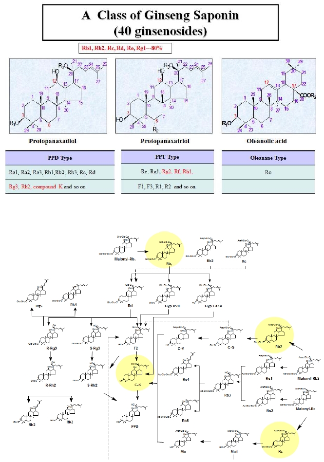 Fig. 6. PPD type ginsenoside