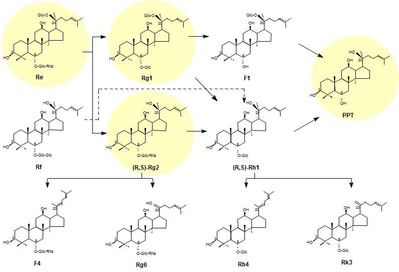 Fig. 7. PPT type ginsenoside