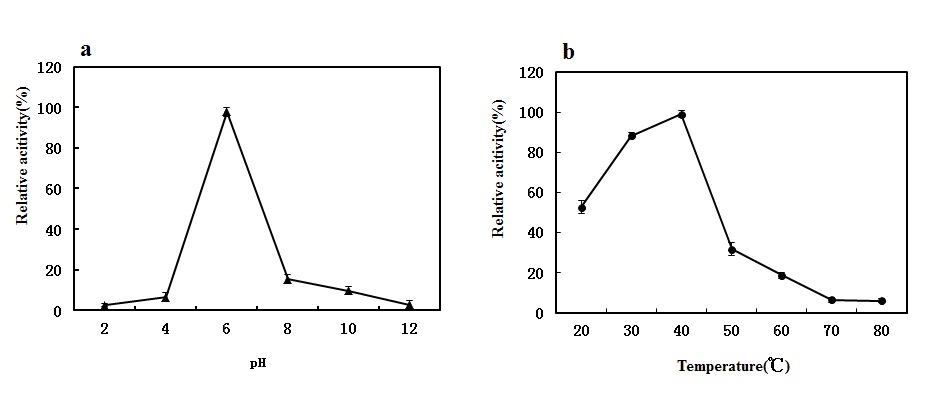 Fig. 10. Effect of pH (a) and temperature (b) on the activity and stability of bgp1