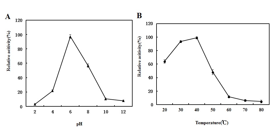 Fig.14. Effect of pH and temperature on the activity and stability of bgp2.