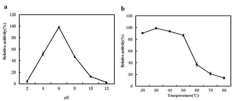 Fig.17. Effect of pH and temperature on the activity and stability of bgp3.