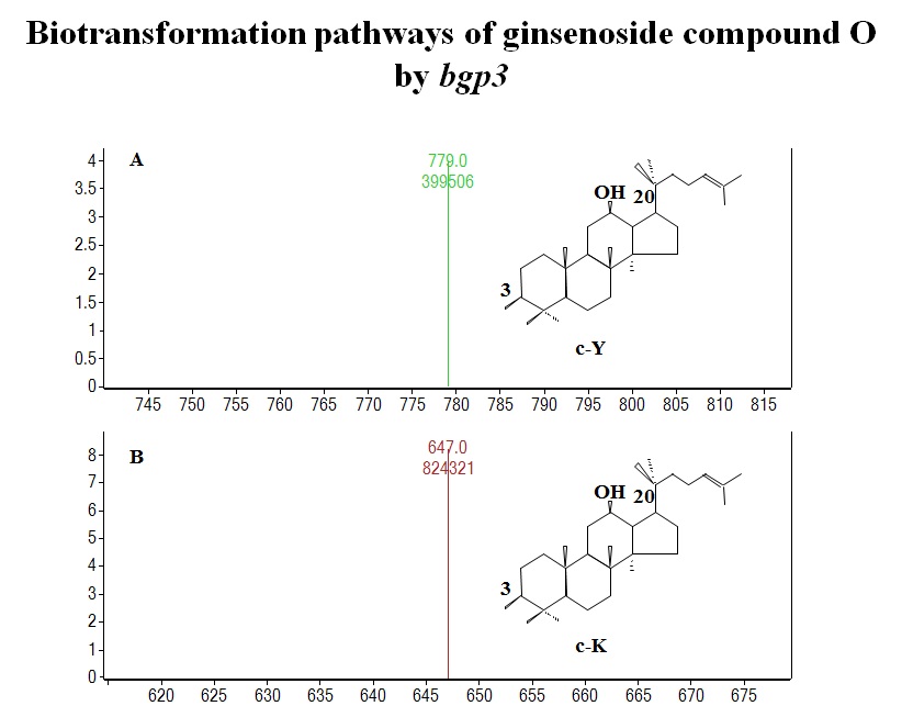 Fig.18. Mass Spectra of Ginsenoside compound O after the bgp3 reaction