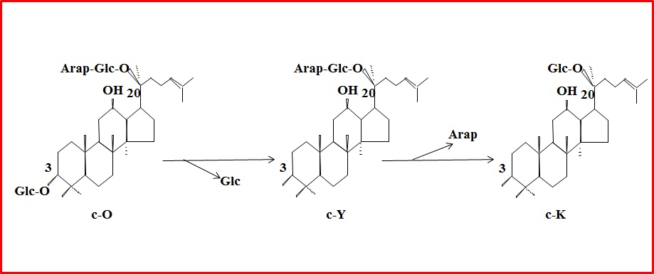 Fig.19. TLC analysis of the transformation of ginsenoside Rb1, Rd, and compound O by bgp3 at pH 6.0, 37°C. S; standard, reaction time; 3 h.