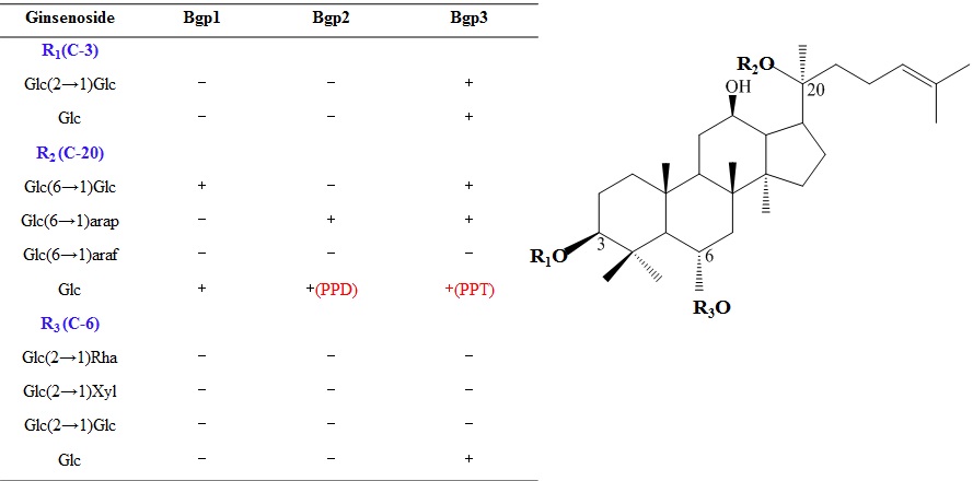 Fig.22. Bioconversion pathway using the bgp1,2,3