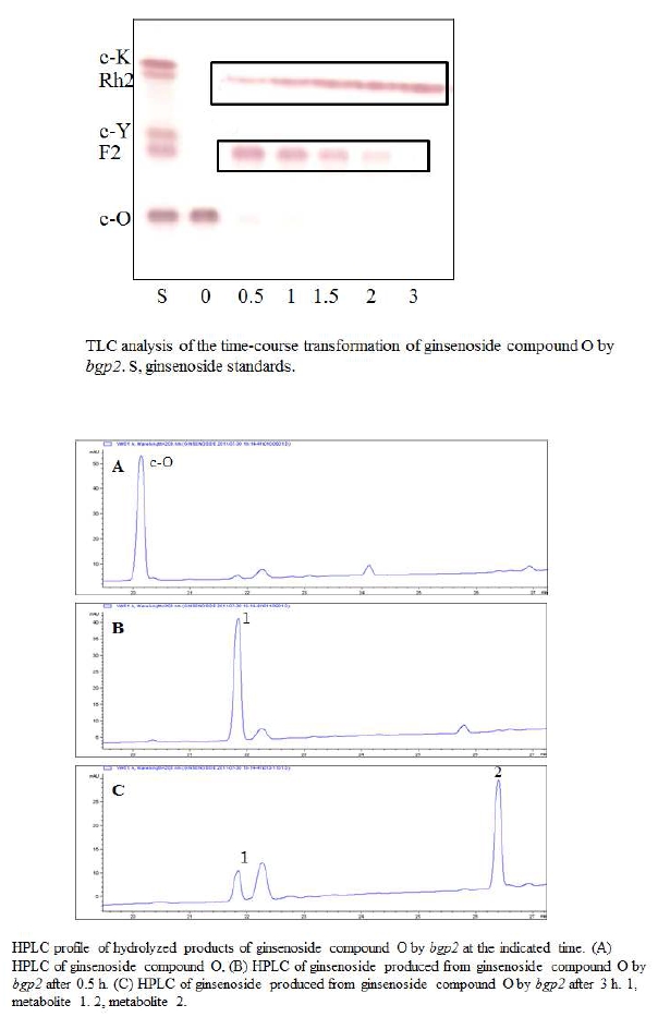 그림 29. bgp2에 의한 bioconversion pathway