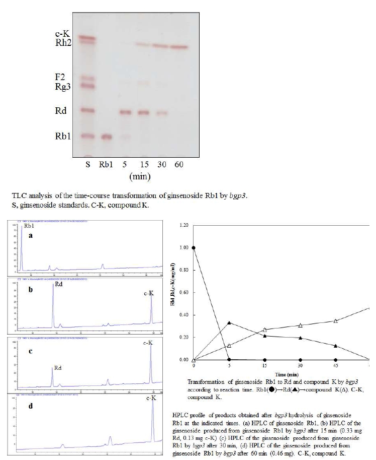 Fig. 30. bgp3에 의한 bioconversion pathway