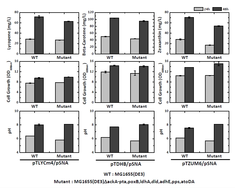 그림 9. 야생형 균주와 결손균주의 라이코펜, 베타-카로틴, 지아잔틴 생산성